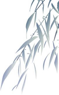 205801l0n4r6rvlzm9624a.png