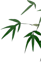 203501zmmj36pq908ls9p8.png