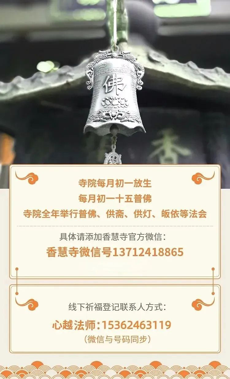 203848it6l6ooj8jj6sf64.png