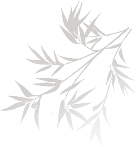 204344cw7sxv41xr4qwyqd.png