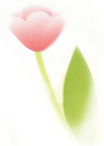204518owp0i5nb9kikkra9.png