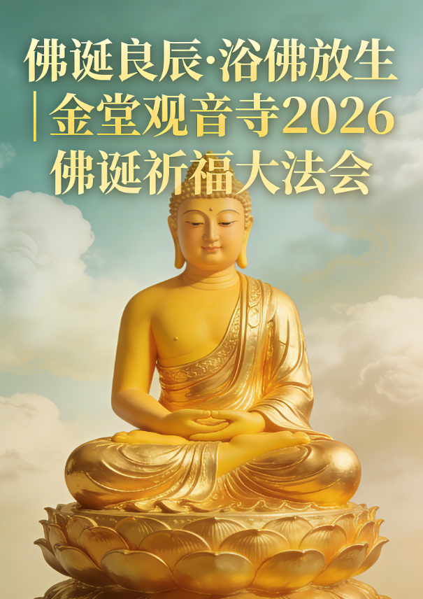 204821l212422o1mgl2gl8.png