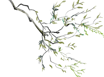 205138qlsf0cseelehwmzm.png