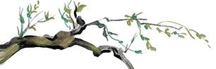 205138wsm8jm7baxbjrr9r.png