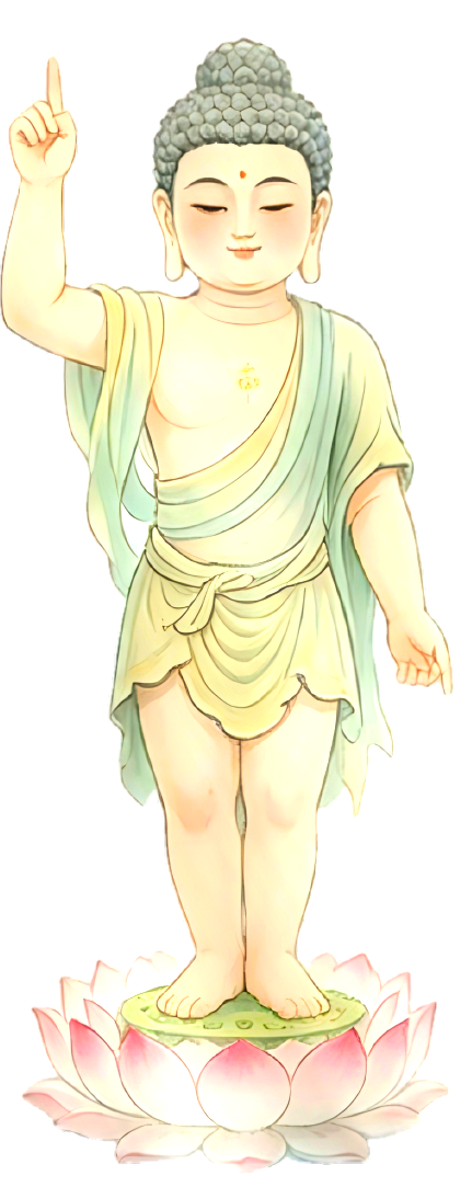 205500sdcckck7j4co7no6.png