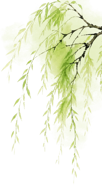 205642a0p9tpt4euki19ir.png