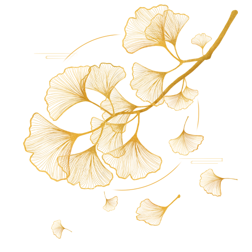 210038p09qgoyhppwomwop.png