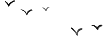 210603rwkkl37h38l4v48z.png