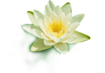 210628lz1mbrac2c52955t.png