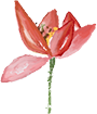 210820m3gx59mdy0i5x731.png