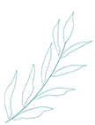 205748wa6qdsnz1ns1z14s.gif