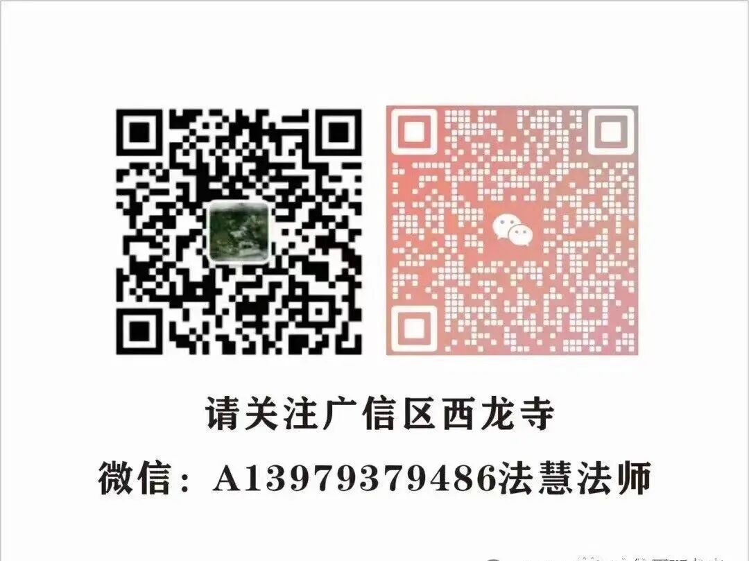 204443dlsvfmw1obmzp6p6.jpeg