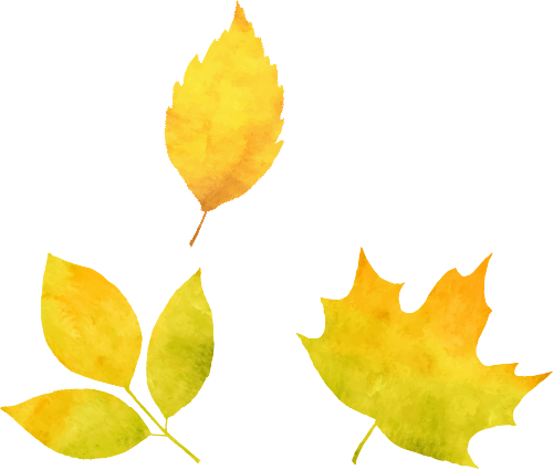 201808w1iyj6jvpm522oaa.png