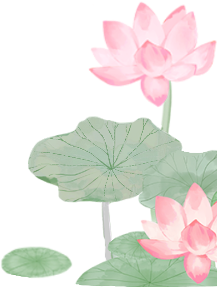 210146apm1mimzwt3x1f88.png