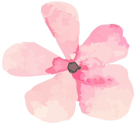 210146fflyt2nadnnnl2mh.png
