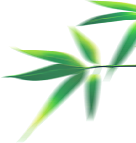 200307d409p9ibbwzbbf9m.png