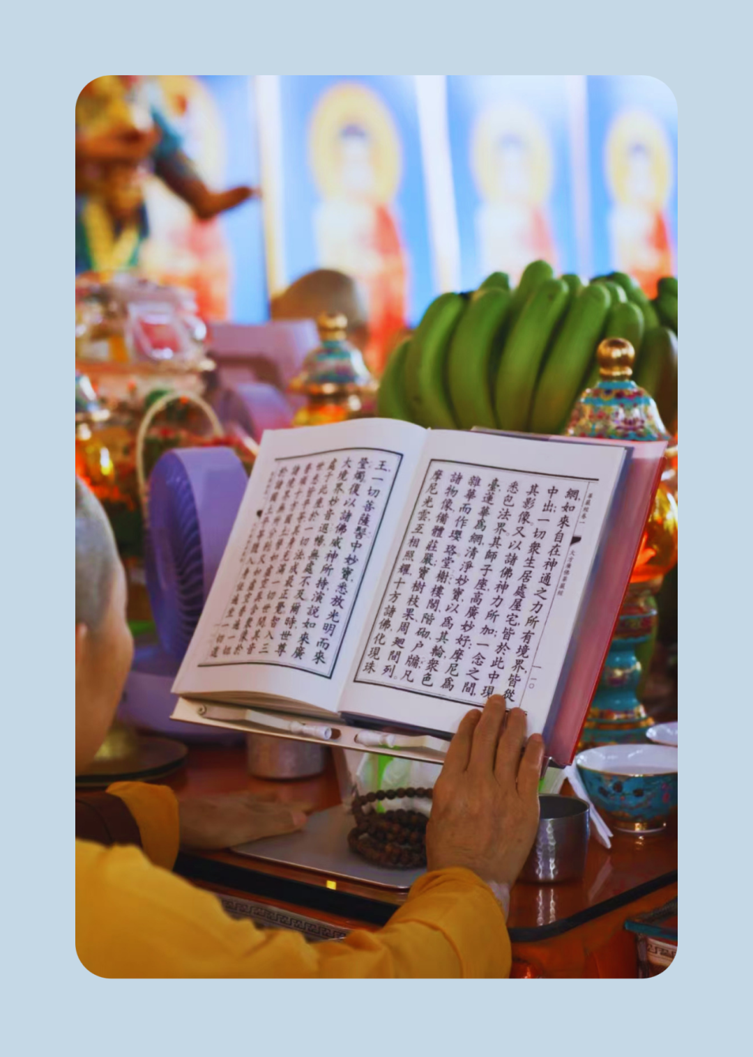 214415sf84pjfj7azkbb6v.png