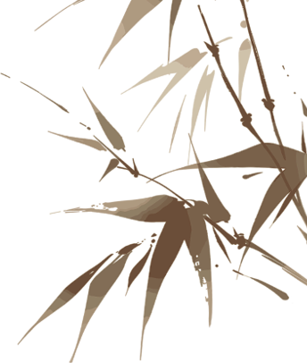 214539d2e3fyd72k78se65.png