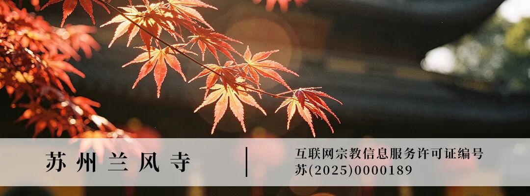 203134whrgo8esagobyogv.jpeg