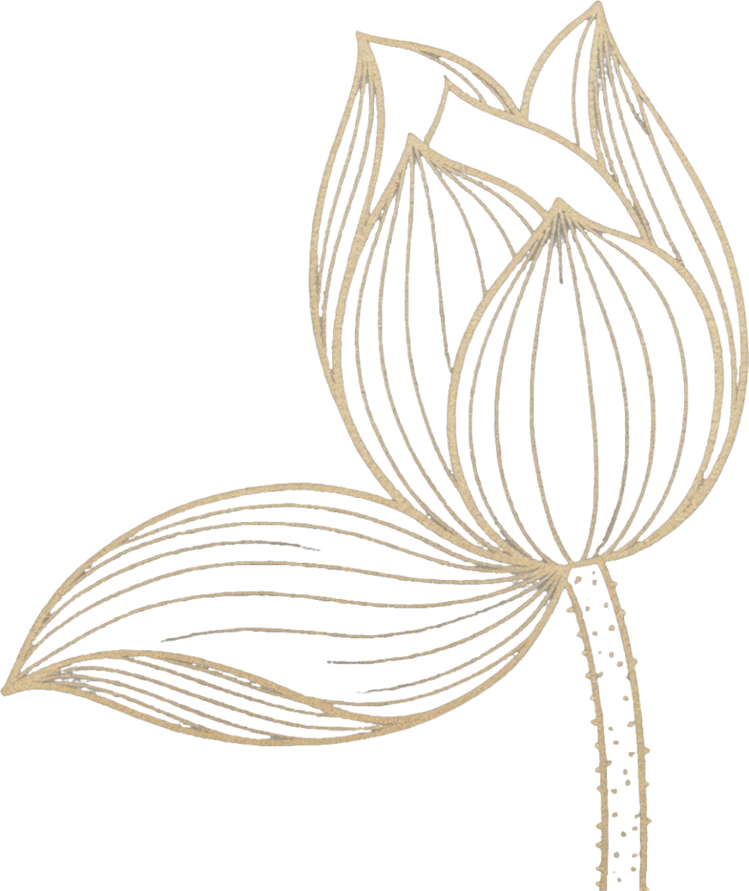 210443oq4dihph12h8118d.png