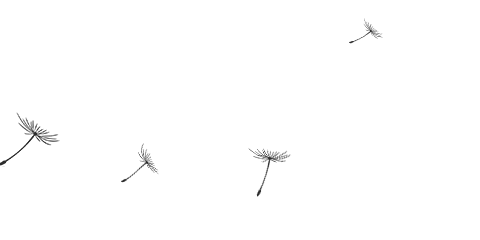 211844lsnj6ysm7fbarbfp.gif