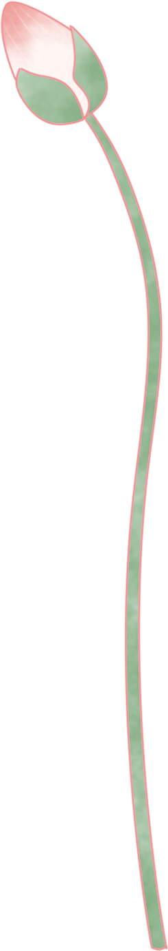 212156mketre7ehesojtxc.png