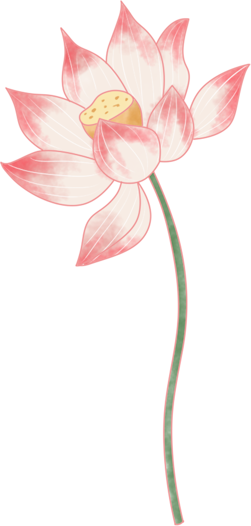 212156sydismnnhafn7khj.png