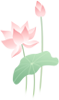 212157ftfr22srur7mvm72.png