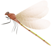 212157nly7xygngag2r4nr.png