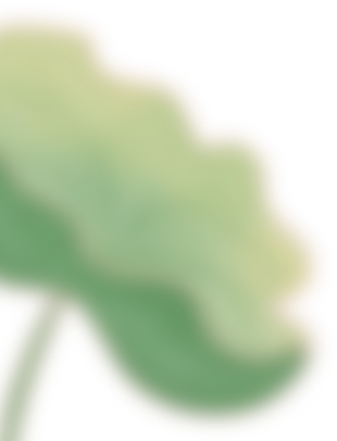 212157s8dk8yw8mxkx72gz.png