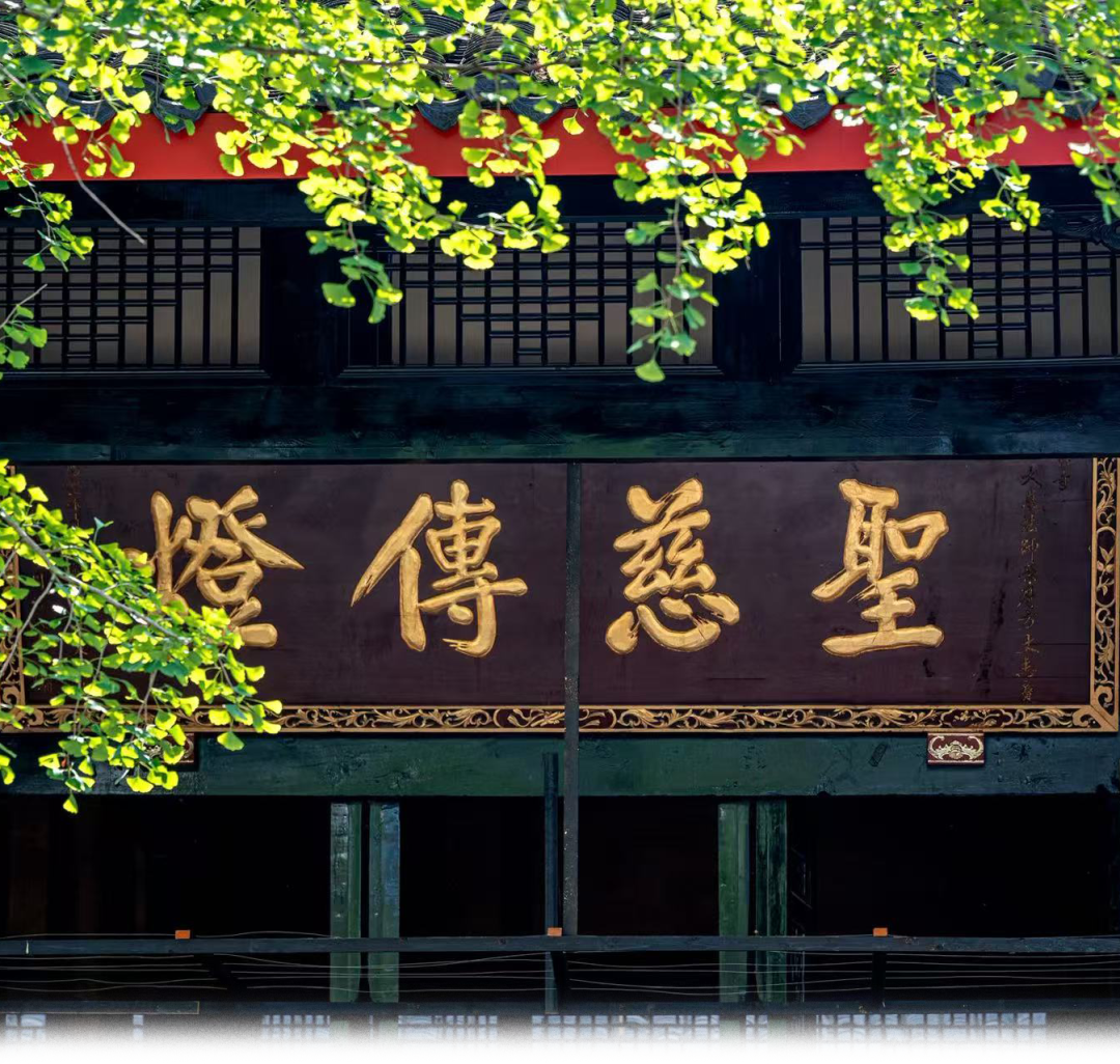 212430gafaowocoww6a3cz.png