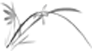 205205ib2yk2kk3gbetnj2.png