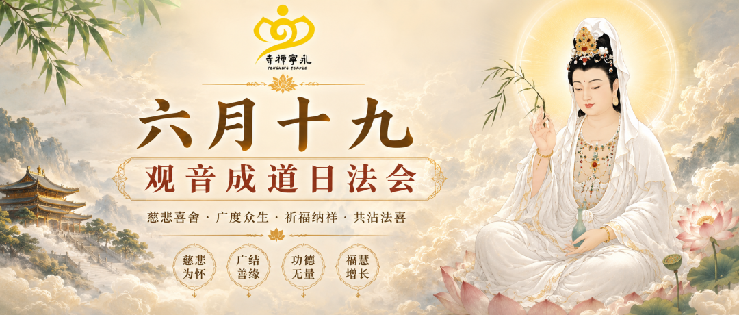 204126dbr885wt8qy5esu5.png