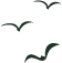 213211d5oivpopr5b5zkwv.png