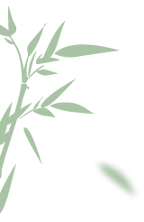 213211eupcknjc8jhn8qfh.png