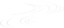 213211jz7zwwr07xf2risp.png