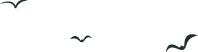213211qbtaaiirejmstmpt.png