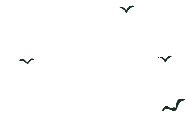 213211zoofou3at9pzmdfn.gif