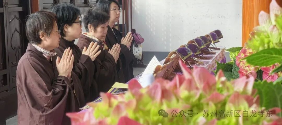 200537t121qixi1h2kf12q.jpeg