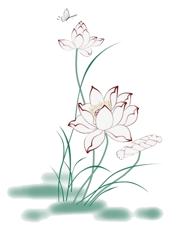 220057kvrwwvra9x4ea19e.png