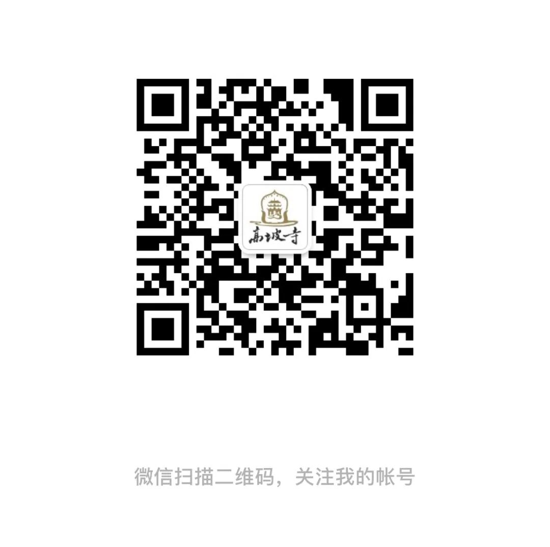 220218pp26u6gdd2od7tka.jpeg