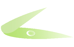 213614x8ravmitbzagcnh8.gif