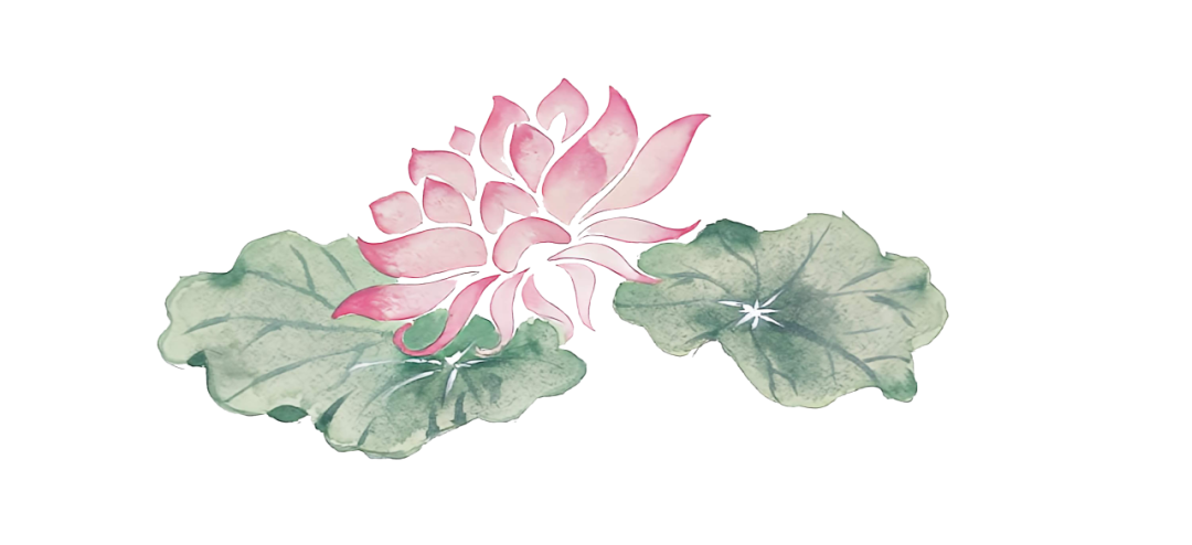 215758j3a3xzterd1pc9wp.png