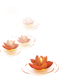 000619w7azw9yinqwarudt.png