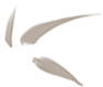 000620eevsv5sewbj7zwxn.png
