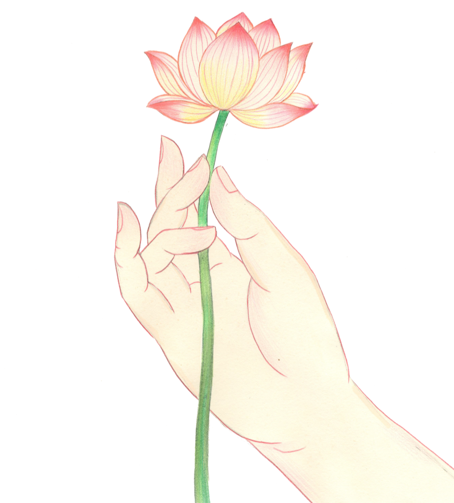 000815t8d98szdslizzn3d.png