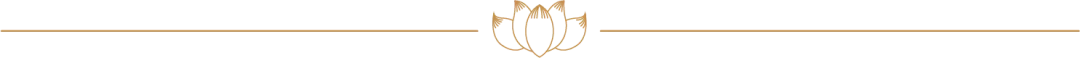 204534ig555velelc2cecc.png
