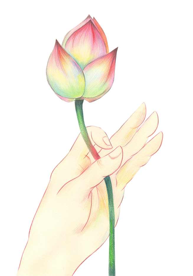 214833vajkiekkakaj545x.png