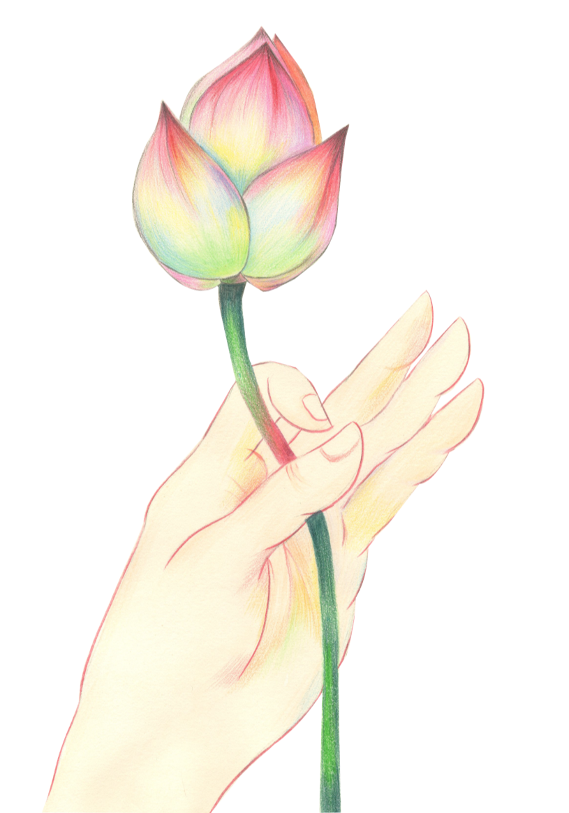 211720va18x8ww5x8x5k51.png