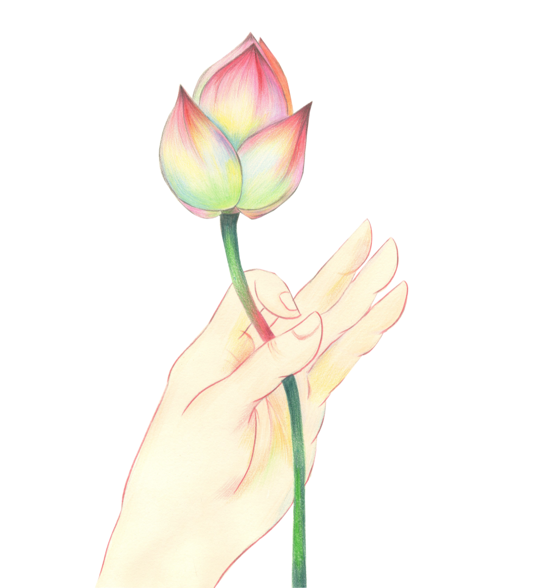 202834l9nntv4vn2s9dn9n.png